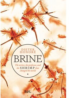 Borgerhoff & Lamberigts Brine - Dieter Honoré