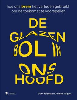 Borgerhoff & Lamberigts De glazen bol in ons hoofd - (ISBN:9789463934404)