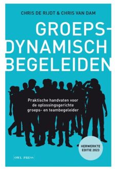 Borgerhoff & Lamberigts Groepsdynamisch Begeleiden - Chris De Rijdt