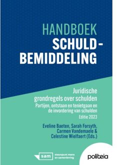 Borgerhoff & Lamberigts Handboek Schuldbemiddeling ! Juridische Grondregels Over Schulden - Sarah Forsyth