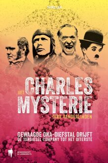 Borgerhoff & Lamberigts Het Charles mysterie - eBook Dirk Vanderlinden (9089317708)