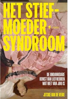 Borgerhoff & Lamberigts Het Stiefmoedersyndroom - Jitske Van de Veire