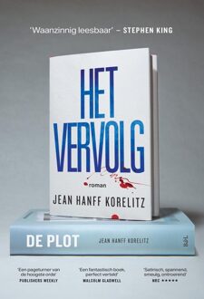 Borgerhoff & Lamberigts Het vervolg - Jean Hanff Korelitz - ebook