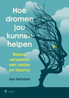 Borgerhoff & Lamberigts Hoe dromen jou kunnen helpen - Ilse Demaret - ebook