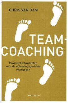 Borgerhoff & Lamberigts Teamcoaching - Chris Van Dam