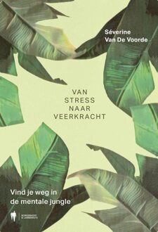 Borgerhoff & Lamberigts Van stress naar veerkracht - Séverine Van De Voorde - ebook