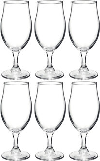 Bormioli Rocco 6x Luxe bierglas/bierglazen speciaalbier 260 ml - Bierglazen Transparant