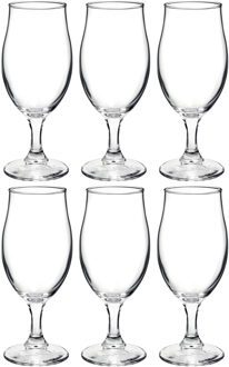 Bormioli Rocco 6x Stuks luxe bierglazen voor speciaalbier 260 ml