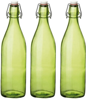 Bormioli Rocco waterfles met beugeldop - Set van 3x stuks - groen transparant - 1000 ml - Giara home
