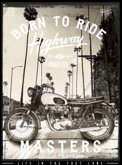 Born To Ride Men's T-Shirt - Black - XL Zwart