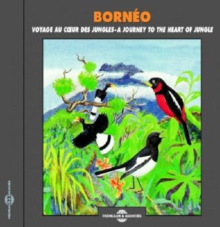 Borneo. Voyage Au Cour Des Jungles - Borneo: A Jou - Sons De La Nature