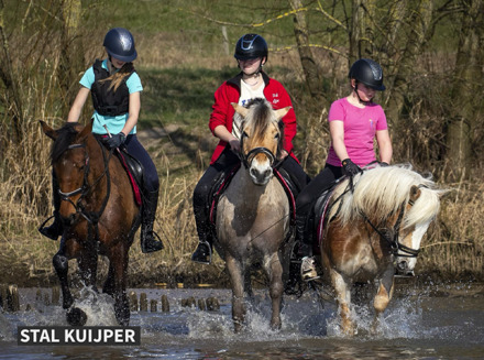 Bos- of waterrit te paard bij Stal Kuijper (3 à 4 uur)