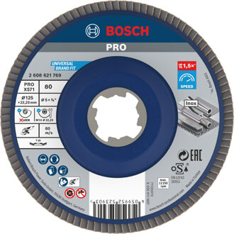 Bosch Accessoires X-LOCK Lamellenschijf schuin, kunststof Ø125mm, G 80, X571,
Best for Metal - 2608621769