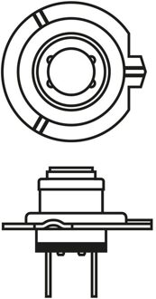 Bosch Gloeilamp Gigalight Plus 150, voertuiglamp, H7, 12V, 55W, Sockel PX26d