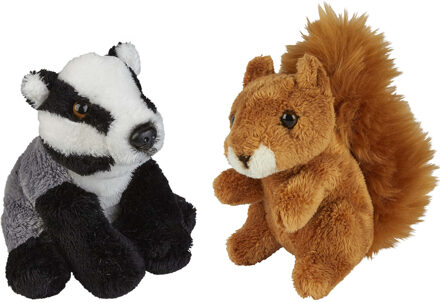 Bosdieren zachte pluche knuffels 2x stuks - Das en Eekhoorn van 15 cm