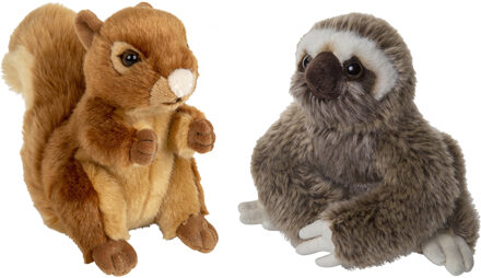 Bosdieren zachte pluche knuffels 2x stuks - Eekhoorn en Luiaard van 18 cm