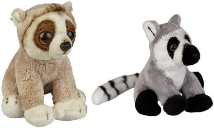 Bosdieren zachte pluche knuffels 2x stuks - ringstaart Maki aapje en Luiaard van 15 cm