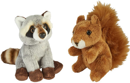 Bosdieren zachte pluche knuffels 2x stuks - Wasbeer en Eekhoorn van 15 cm