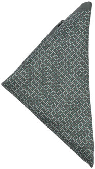 BOSS Heren Zijden Zakdoekje met Logo (Groen) - maat