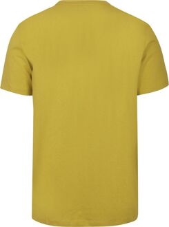 BOSS T-shirt Tales Groen - L,M,XXL