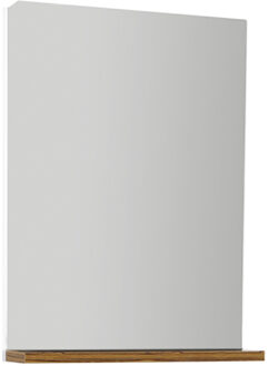 Boss & Wessing Badkamerspiegel BWS Elmas 56.2x44x9.5cm Met Planchet Bruin