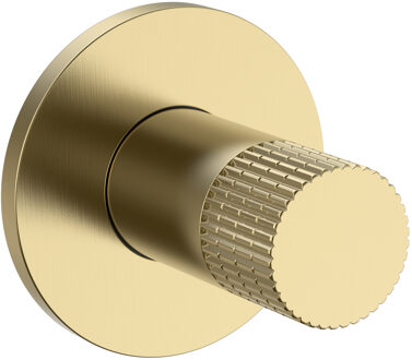 Boss & Wessing Bidetkraan BWS Sensa Koud Water Geborsteld Goud PVD