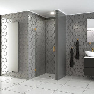 Boss & Wessing BWS Douchedeur Profielloos | Modern | Nisdeur | (Alle kleuren en maten)