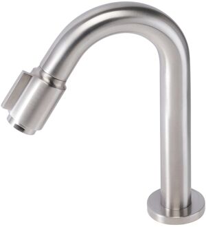 Boss & Wessing BWS Fonteinkraan Cemal Luxe Toiletkraan 1/2 Inch 25x16x5 cm RVS Look