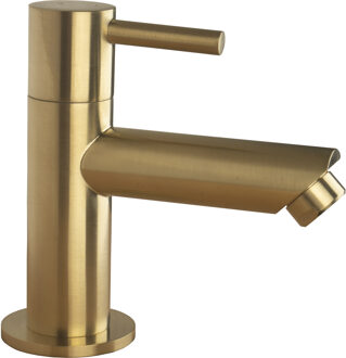 Boss & Wessing BWS Fonteinkraan Colorato 1/2'' Aansluiting Geborsteld Goud