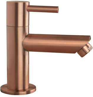 Boss & Wessing BWS Fonteinkraan Colorato 1/2'' Aansluiting Geborsteld Koper