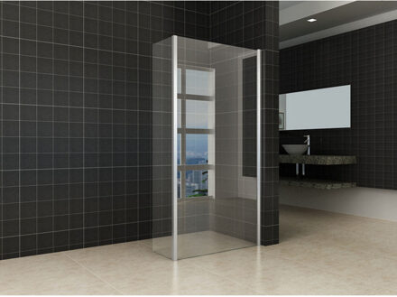 Boss & Wessing BWS Inloopdouche Huron met Zijwand 30 cm 100x200 cm 8 mm NANO Coating