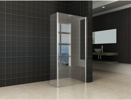 Boss & Wessing BWS Inloopdouche Huron met Zijwand 30 cm 80x200 cm 8 mm NANO Coating