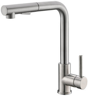 Boss & Wessing BWS Keukenkraan Reno met Uittrekbare Handdouche RVS