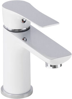 Boss & Wessing BWS Toiletkraan Caspar Éénhendel Wit Chroom Wit-chroom