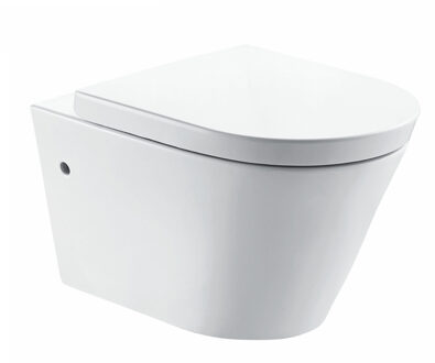 Boss & Wessing BWS Wandcloset Flow Randloos Diepspoel 55cm EasyCleaning Inclusief Zitting Wit