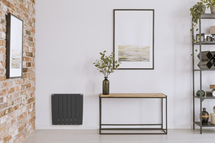 Boss & Wessing Elektrische Radiator BWS Mash 58x108 cm 2000W Muurbevestiging Met Stekker en Afstandsbediening Antracietgrijs