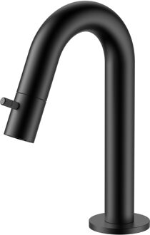 Boss & Wessing Fonteinkraan BWS Sensa Gebogen Geborsteld Zwart PVD Mat Zwart