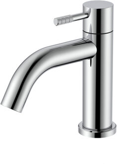 Boss & Wessing Fonteinkraan BWS Sensa Hendel Chroom