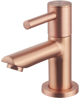 Boss & Wessing Fonteinkraan BWS Toiletkraan Met Keramisch Binnenwerk Geborsteld Koper