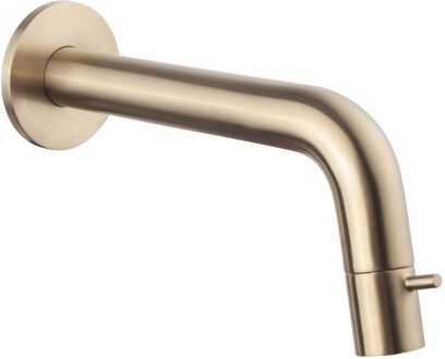 Boss & Wessing Fonteinkraan Inbouw BWS Toiletkraan Verstelbaar Geborsteld Messing Goud