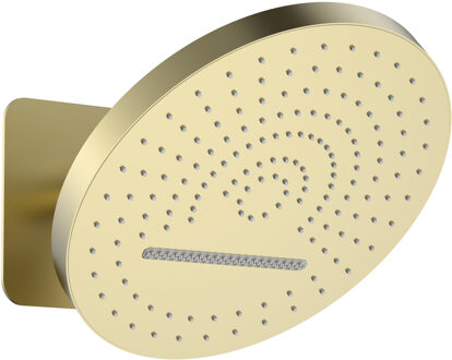 Boss & Wessing Hoofddouche BWS Sensa 32 cm met Inbouwbox Geborsteld Goud PVD Tropical Rain