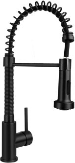 Boss & Wessing Keukenmengkraan BWS Colorato 49.5 Cm Flexibele Uitloop Mat Zwart