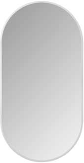 Boss & Wessing LED-Spiegel Ovaal BWS Colorato Met Verwarming 100x50 cm RVS