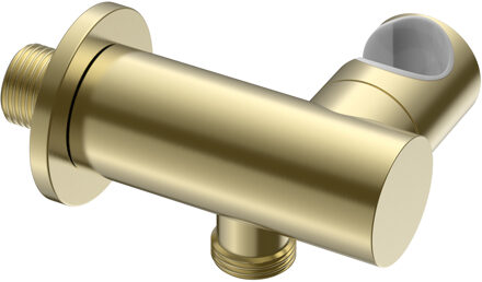 Boss & Wessing Muuraansluitbocht BWS Sensa met Wateraansluiting Kantelbaar Geborsteld Goud PVD