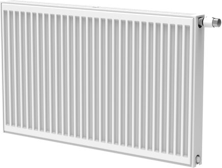 Boss & Wessing Radiator BWS Lucy 40x200 cm 3422W Type 33 6 Aansl. Wit
