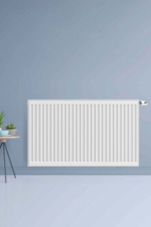 Boss & Wessing Radiator BWS Lucy 50x300 cm 4482W Type 22 6 Aansl. Wit