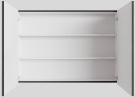 Boss & Wessing Spiegelkast BWS Cube 100x70x16 cm 2 Deuren Antraciet met Mat Wit