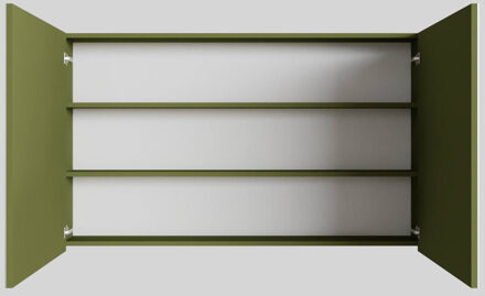 Boss & Wessing Spiegelkast BWS Cube 120x70x16 cm 2 Deuren Groen