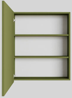 Boss & Wessing Spiegelkast BWS Cube 60x70x16 cm 1 Deur Groen