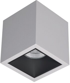 Boss & Wessing Spot BWS Daniel Aluminium 745Lm 9,2W Wit Met Zwarte Anti-Glare Ring